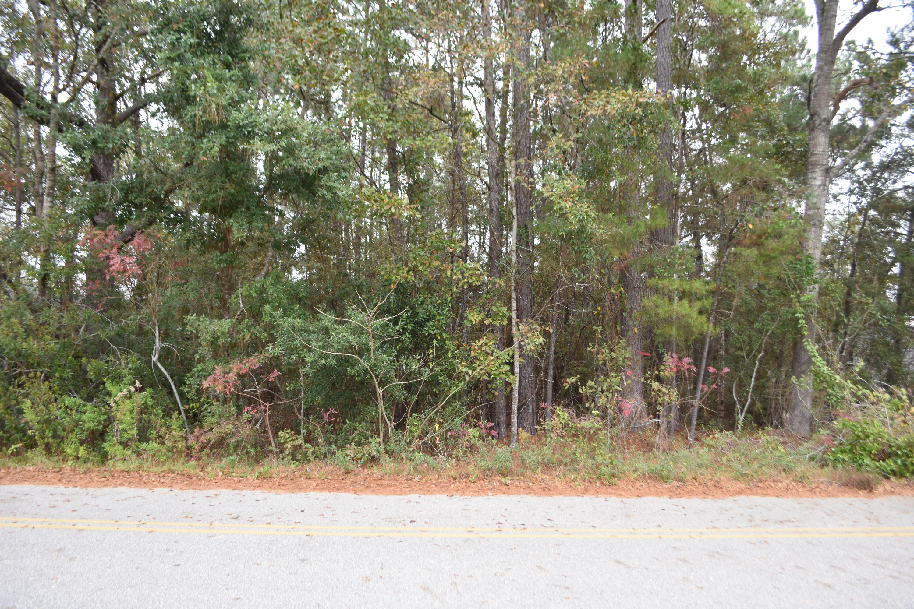 Level wooded Double Lot. Total area .24 acres on a paved road in Freeport off of east bay loop, outside City Limits. Buyer to verify all matters of importance. No survey available. Present all offers on a FARBAR Vacant Land contract. All Non-Rep Brokers must produce a signed transaction brokerage notice, signed and delivered to listing broker, before showing, in order to share transaction broker compensation otherwise Non-Rep Broker gets 1%. If operating as SA, Single Agent Brokers must provide copy of Disclosure signed and delivered to listing broker according to F.S. prior to showing and have written Broker approval.