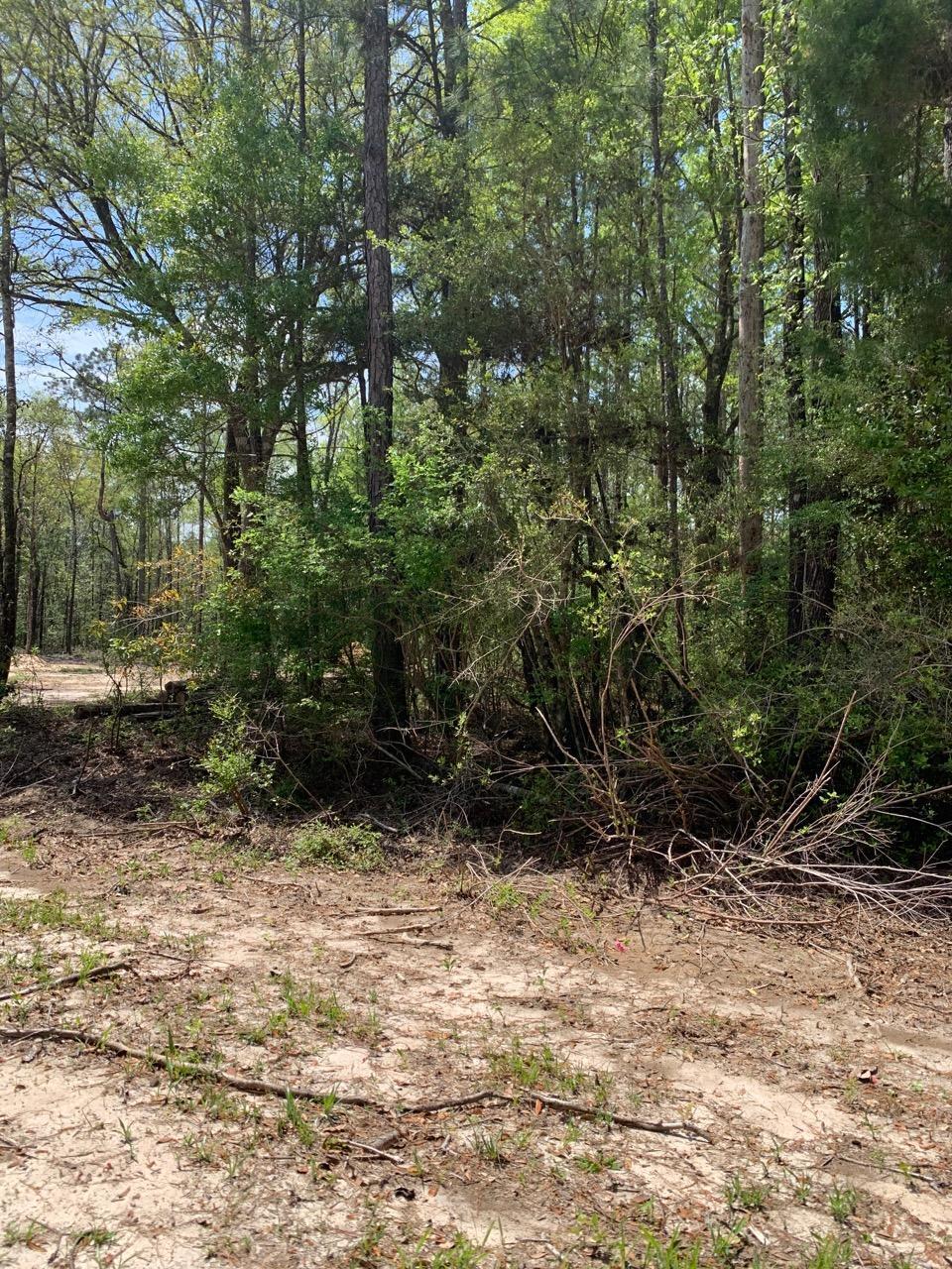 Lot in a very private setting near river in Holmes county. 1.1 acres has community water available but no septic or electric pole. Electric lines are in the area. With this lot being near the river, it is in a flood zone. Last flood was in the nineties. Bring your RV and setup on the concrete pad already present.