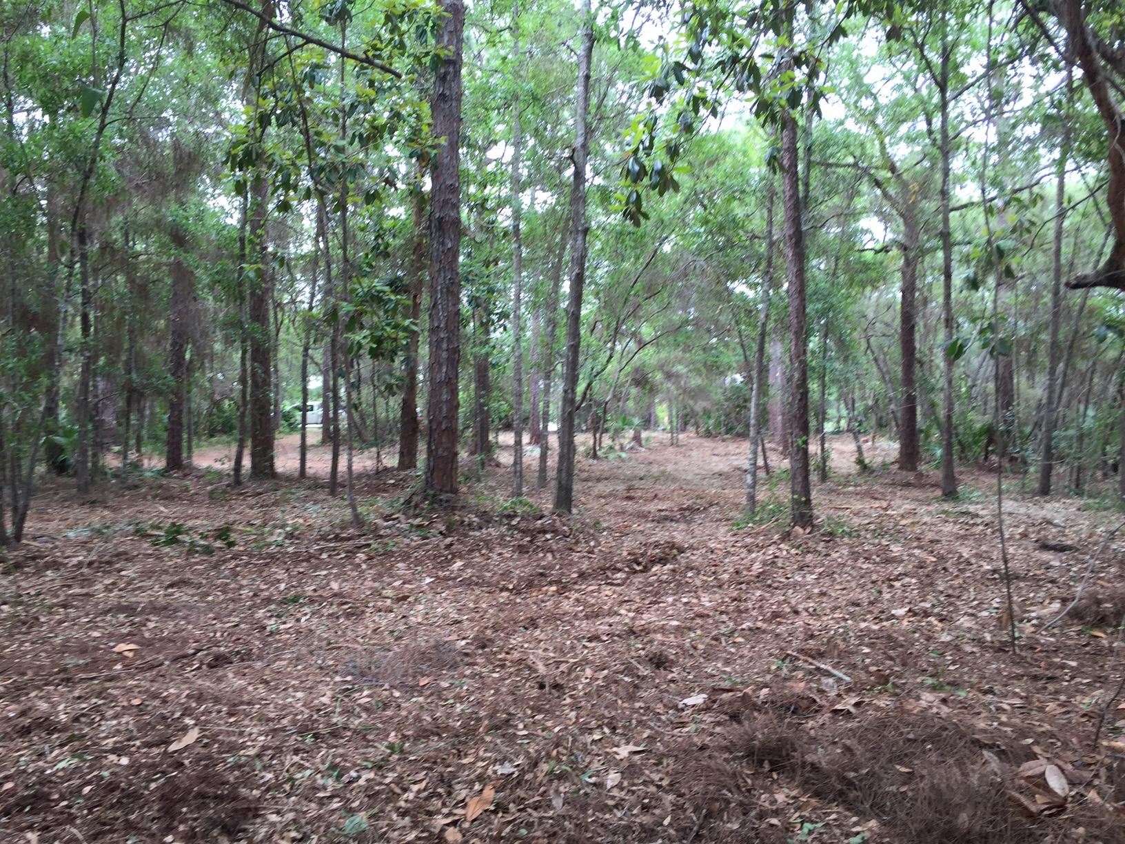 HEWITT BAYOU UNREC - Land