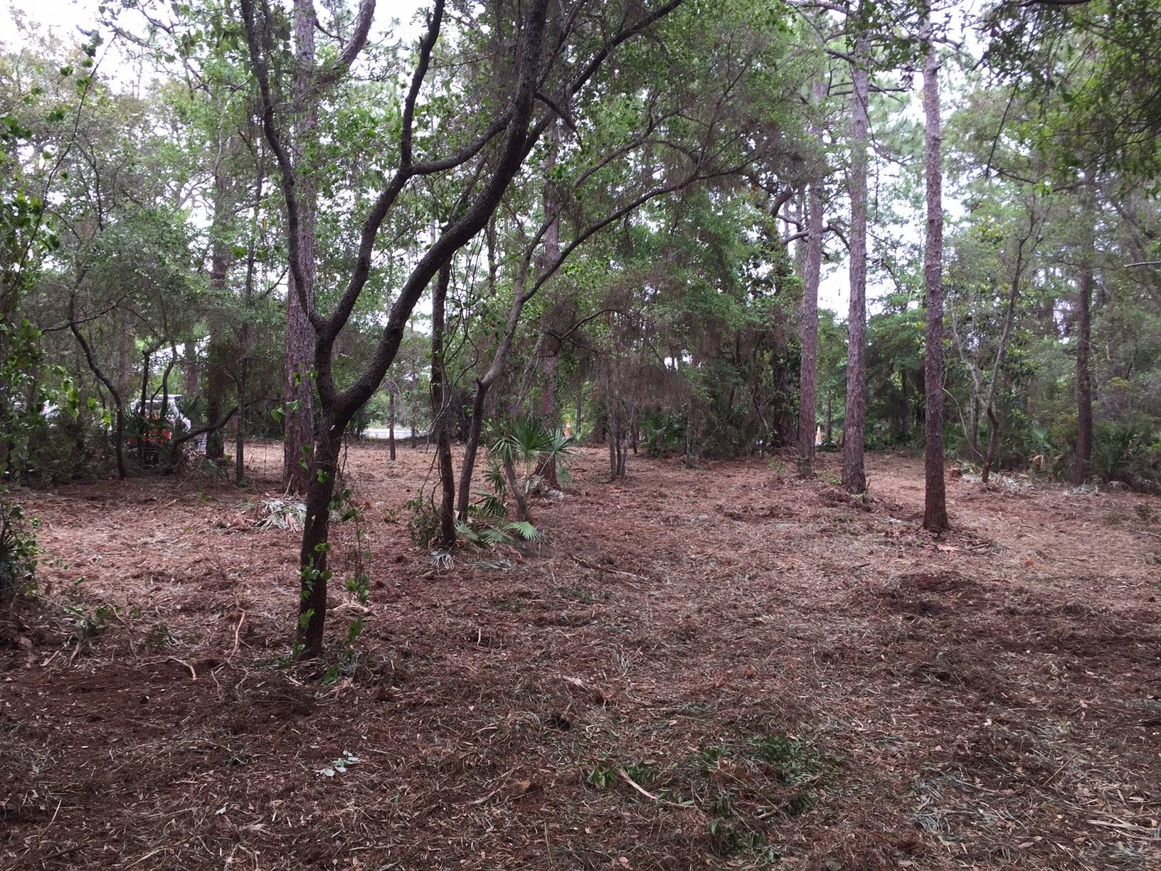 HEWITT BAYOU UNREC - Land