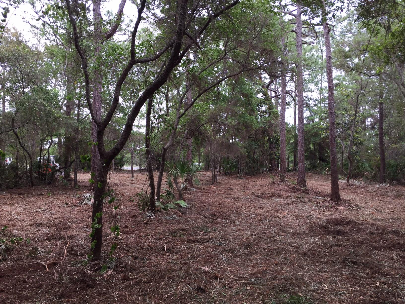 HEWITT BAYOU UNREC - Land