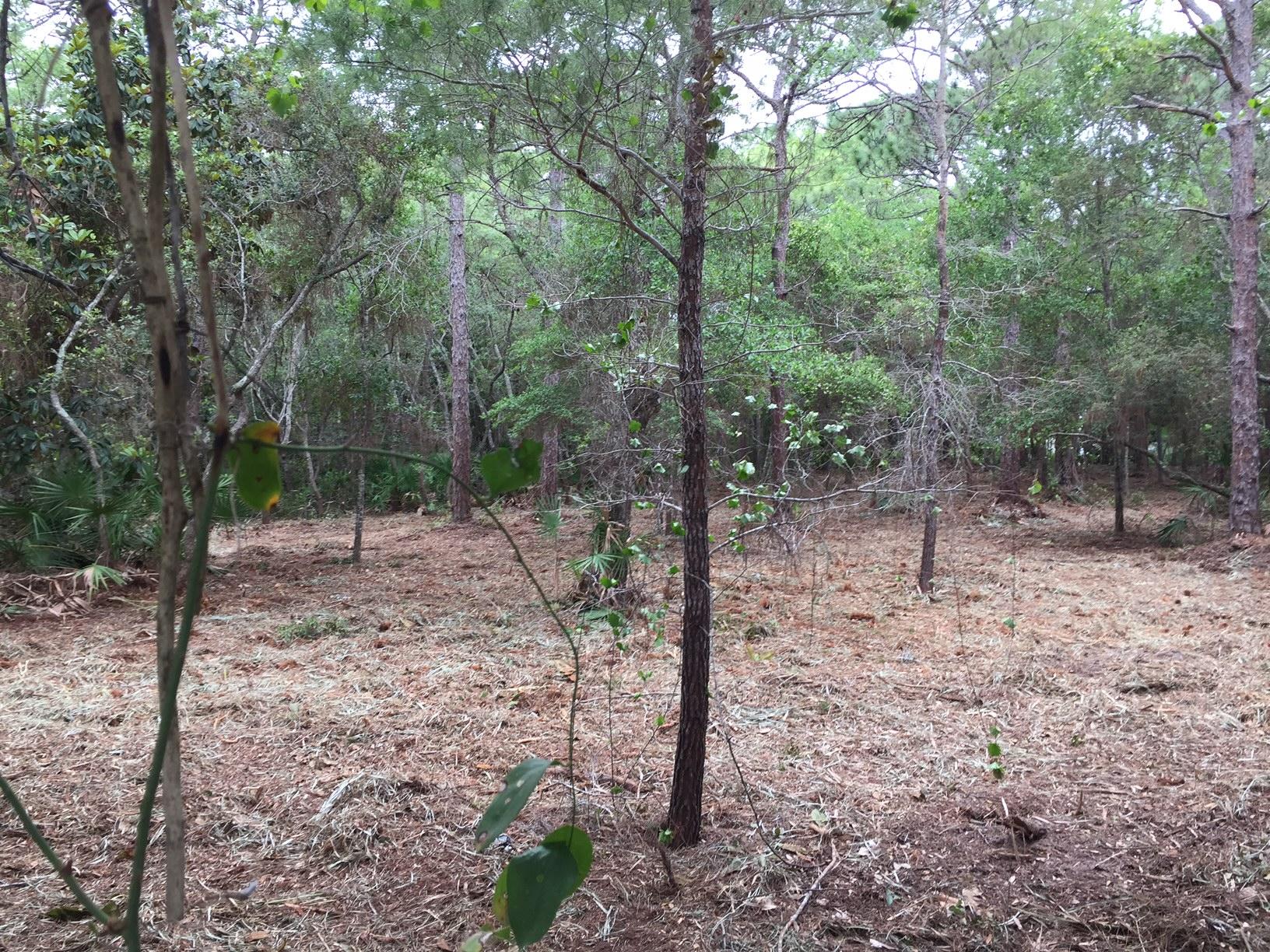 HEWITT BAYOU UNREC - Land
