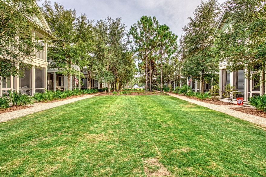 Outstanding value with a ''4 seater GEM Golf Cart (with trunk)'' plus the ''Additional Assessment has been paid'', that's a $25,000+ bargain! Screened porch overlooks the Dragonfly Park, means no loud parking in front of the home, and within site of the Dragonfly Pool.Never rented but great rental potential for this 3 bedroom, 3.5 bath home with charming interiors in pristine condition that will convey beautifully furnished (exceptions for personal items). All this in Phase 4 of Watercolor for $839,700.