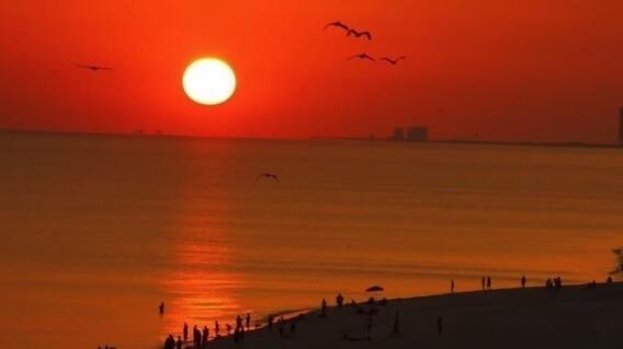 ISLAND ECHO CONDO Unit 6-E - Residential