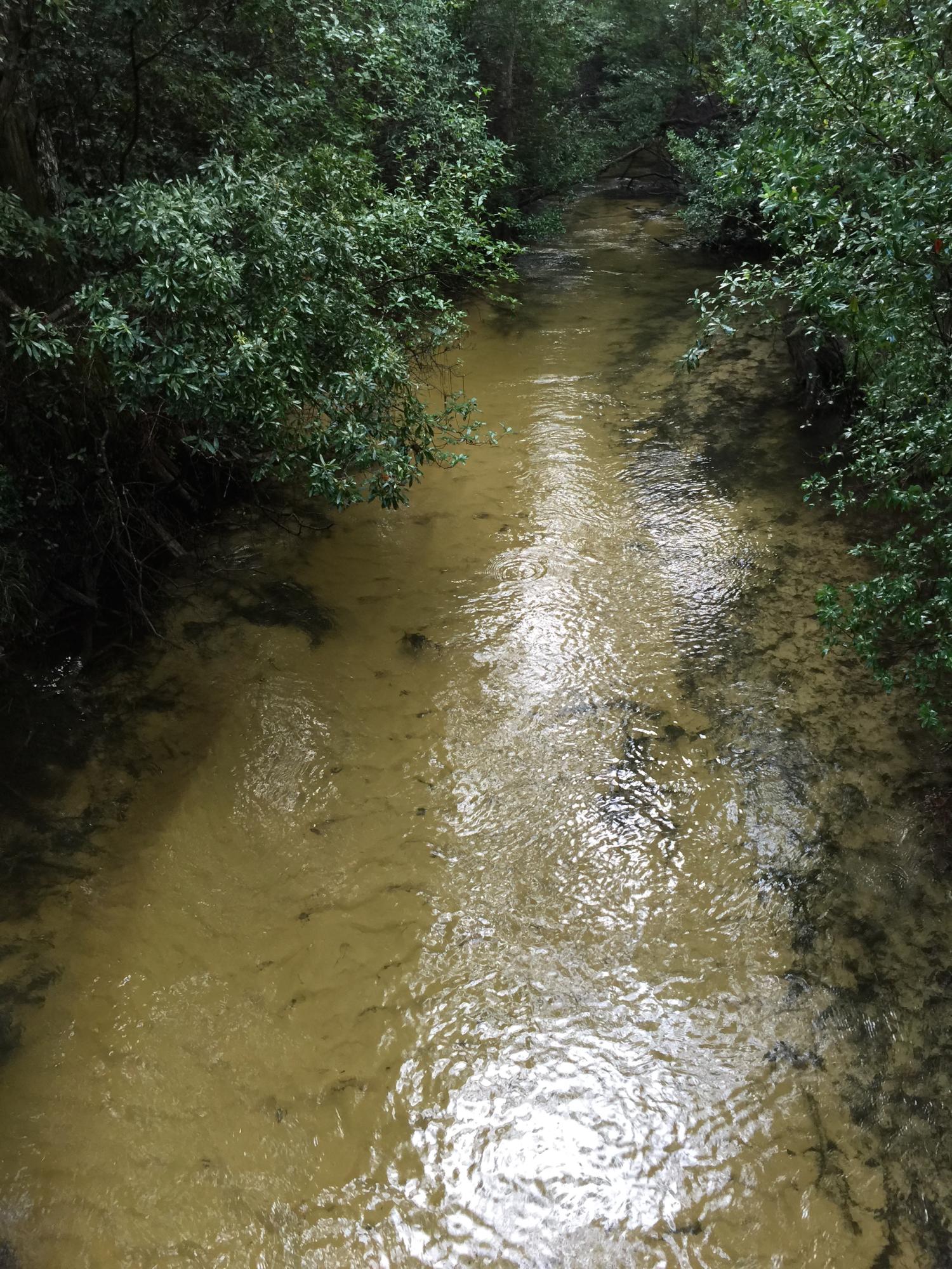 Andy's Landing Unrec - Land