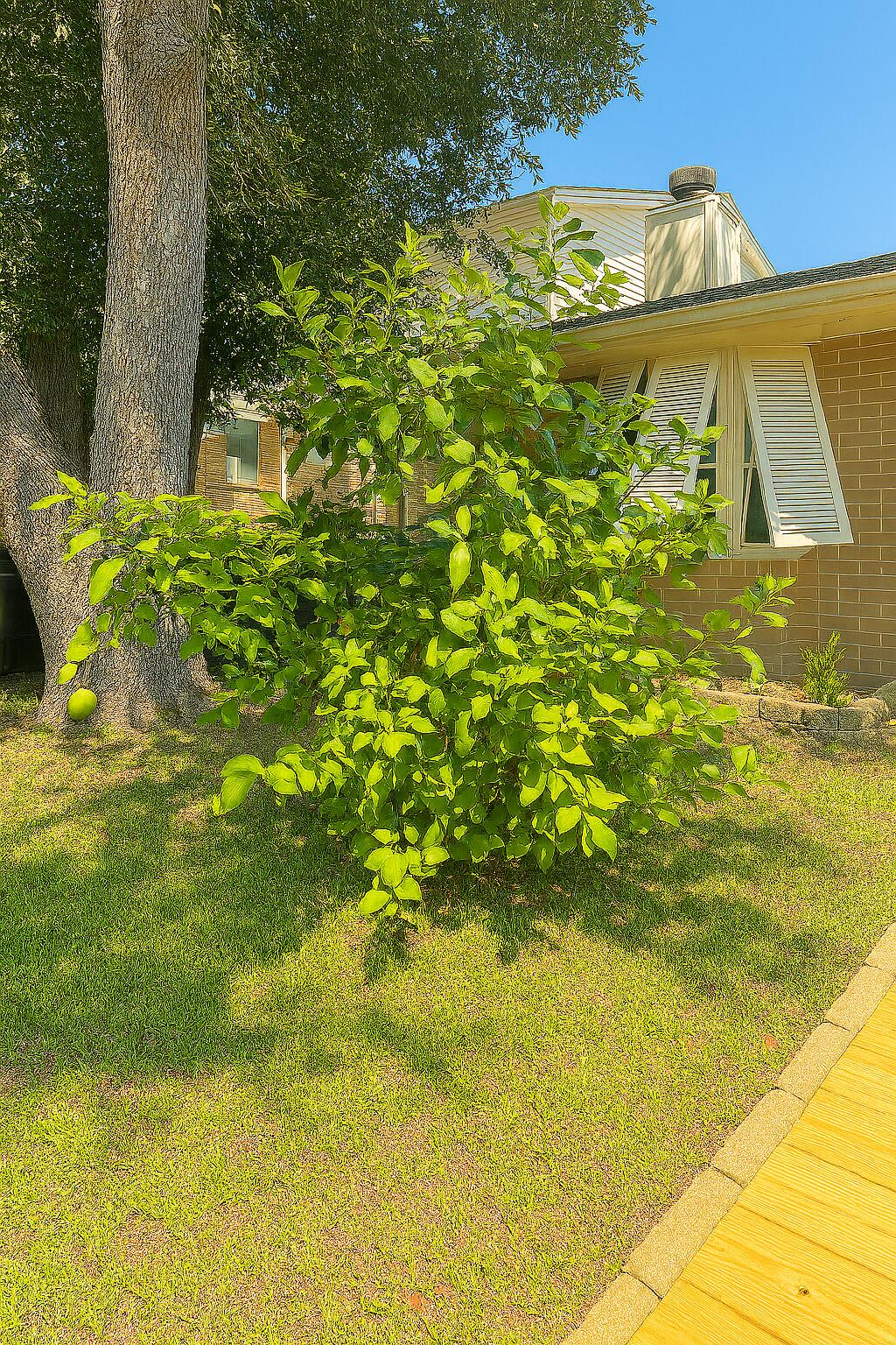 DONLABROOK GARDYNS - Residential