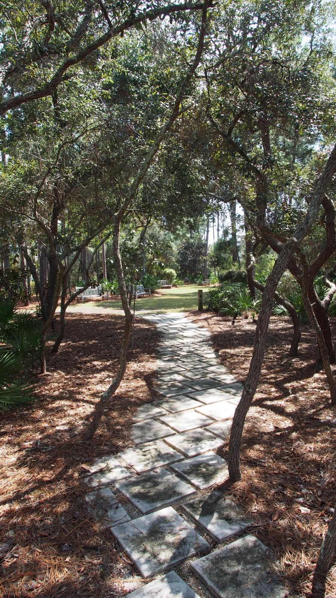 WATERSOUND WEST BEACH - Residential