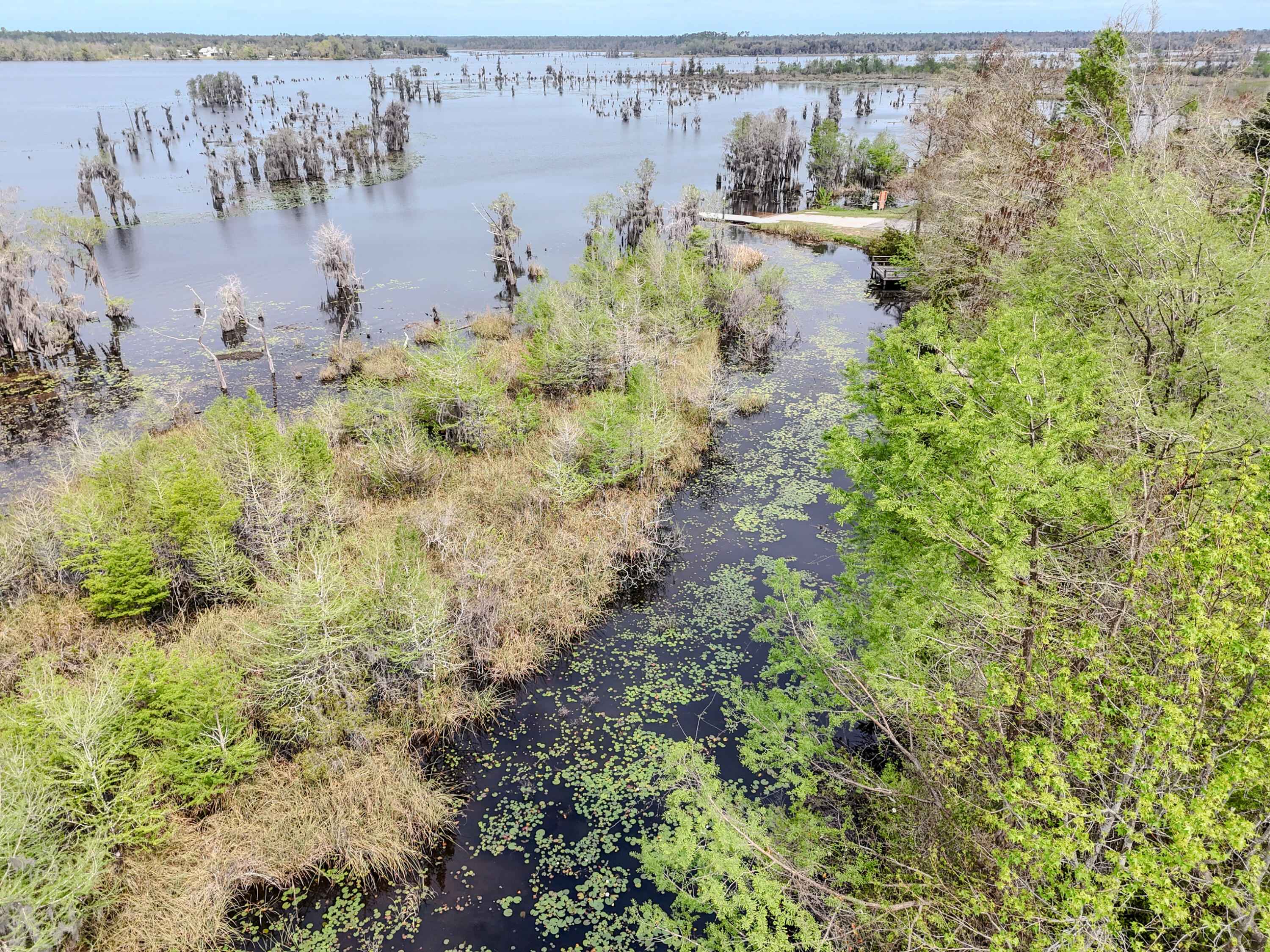 LAKE FOREST ESTATES - Land