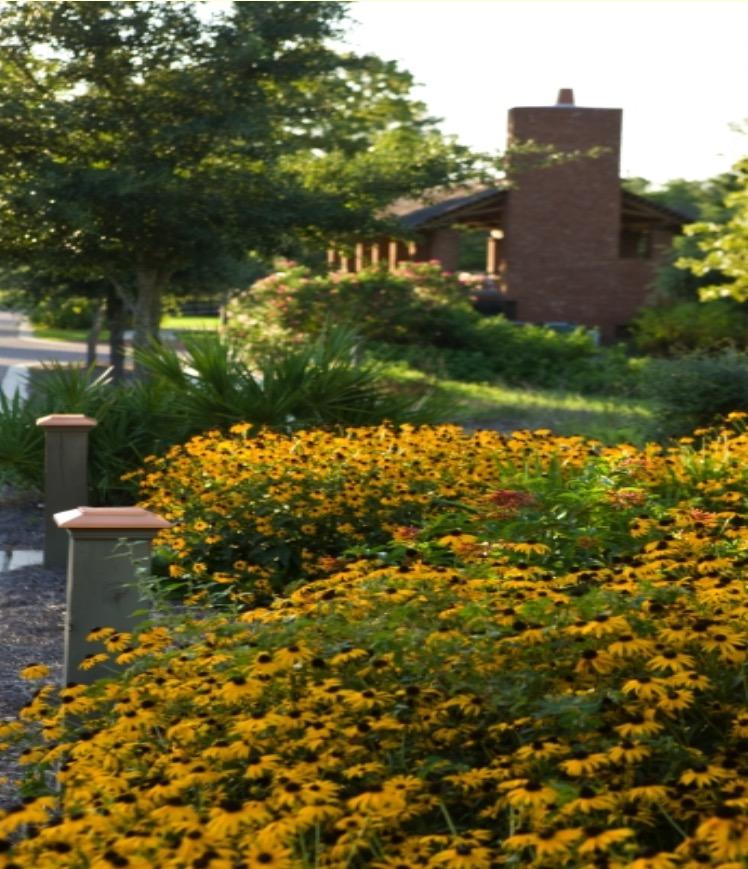 FOREST LAKES - Residential