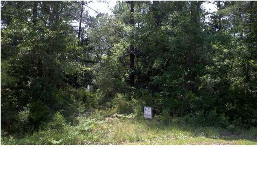 A Rare, Bayfront Lot with 103' on Choctawhatchee Bay with a sandy beach! Enjoy incredible western sunsets over the Bay! Great location, only 10-15 minutes to the Beaches of South Walton. Deed restrictions will not allow mobile homes. Lot is wooded and natural. City water and sewer are available. This is a showcase lot for a showcase home! Don't miss the opportunity to build on one of the last Bayfront lots on desirable Bay Grove Road!