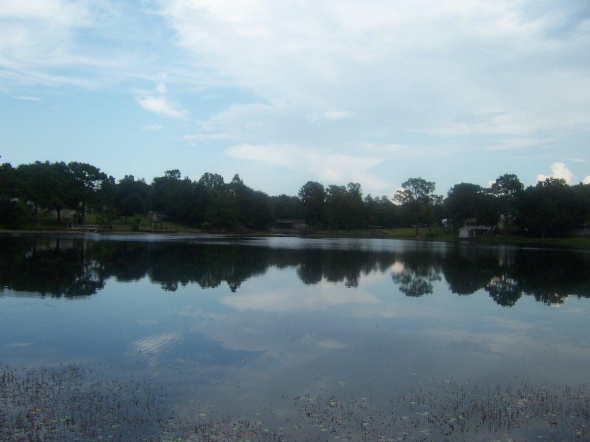 JUNIPER LAKE PINES - Residential