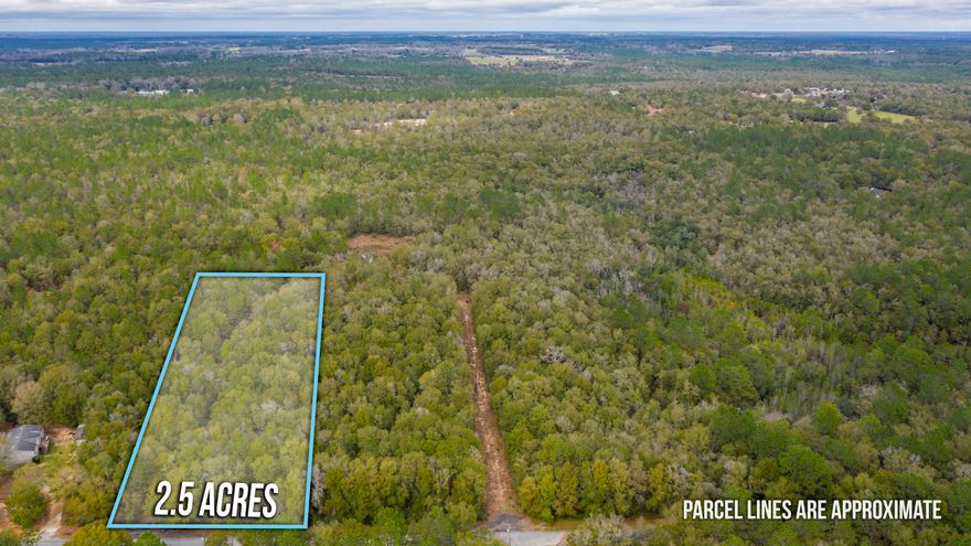 Peace and tranquility are the first things that come to mind with this beautiful 2.5 acre future home site. The possibilities are absolutely endless with plenty of room for the kids to grow and explore! Don't miss your opportunity to own this prime land in Baker located just 15 minutes from the heart of Crestview. This land won't last long so call to schedule your appointment today!