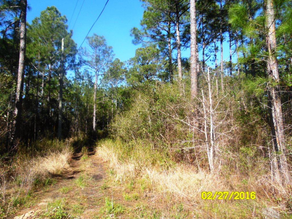 TOWN OF SANTA ROSA - Land