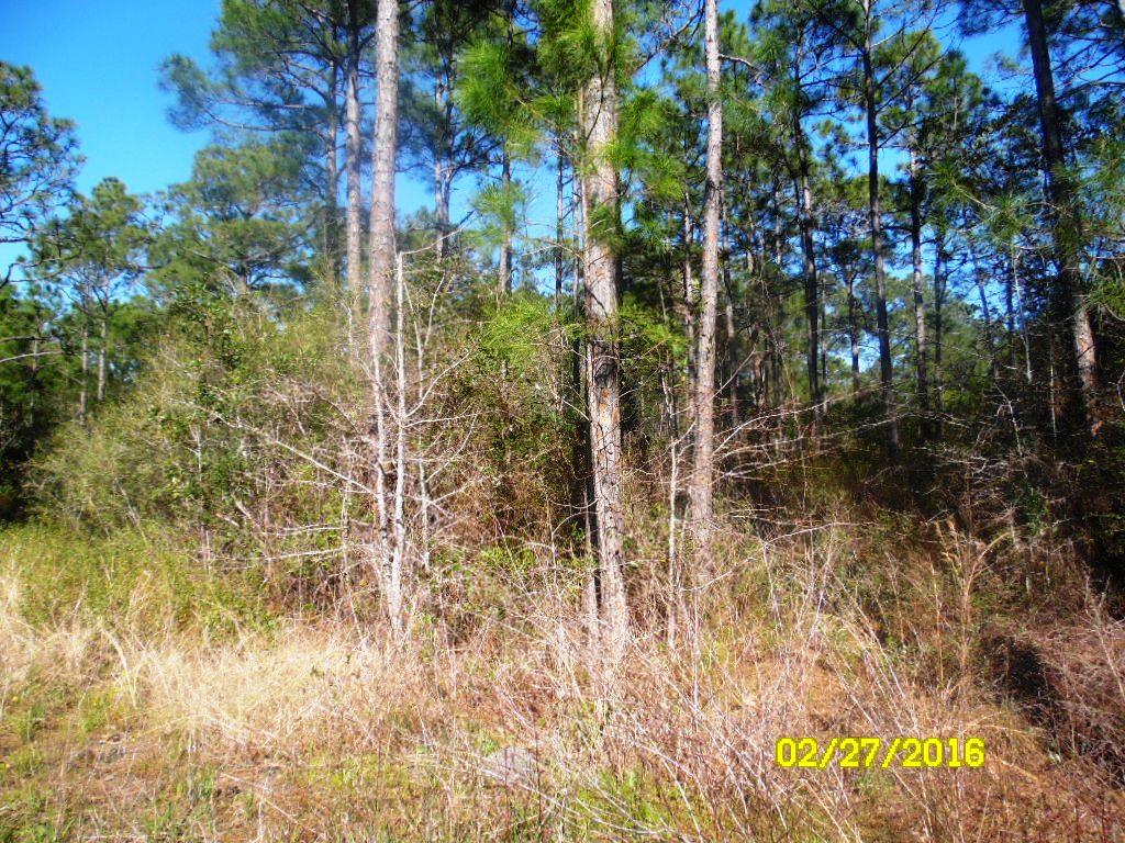 TOWN OF SANTA ROSA - Land