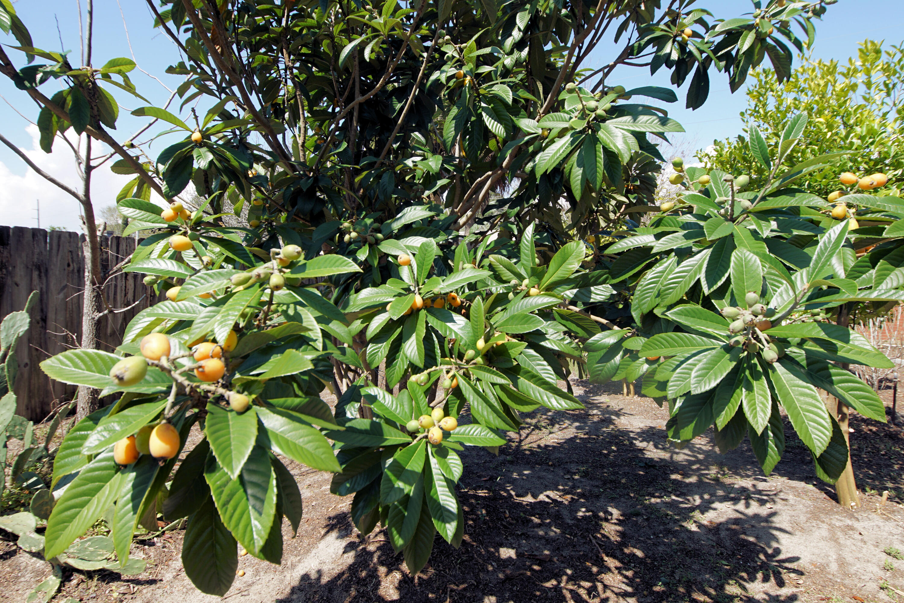 MUNICIPAL S/D - Residential