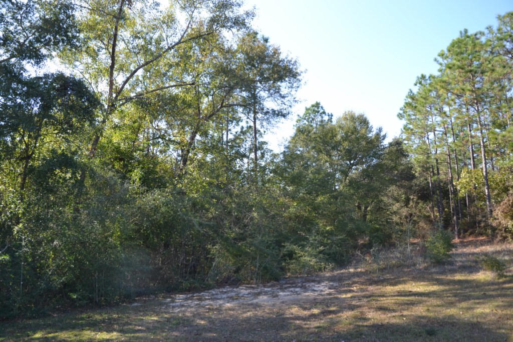 KENNEDY LAKE (UNRECORDED) - Residential