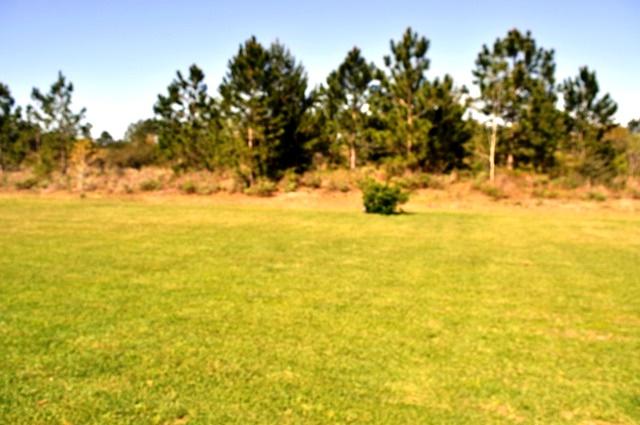 WINDSWEPT ESTATES - Residential