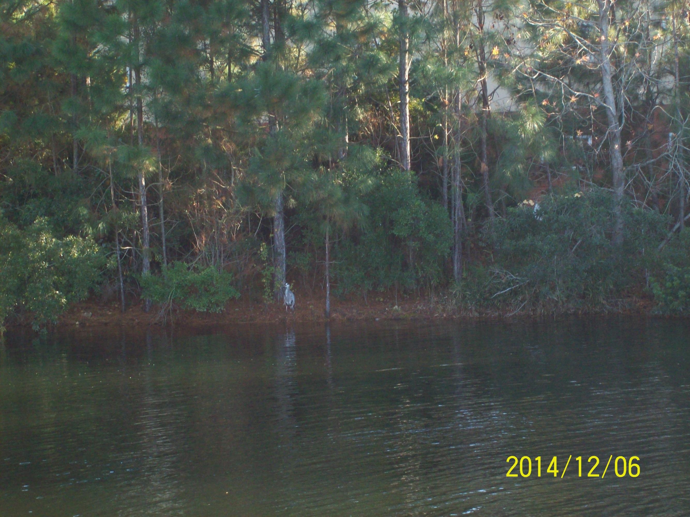 EMERALD LAKES PH 1 - Residential