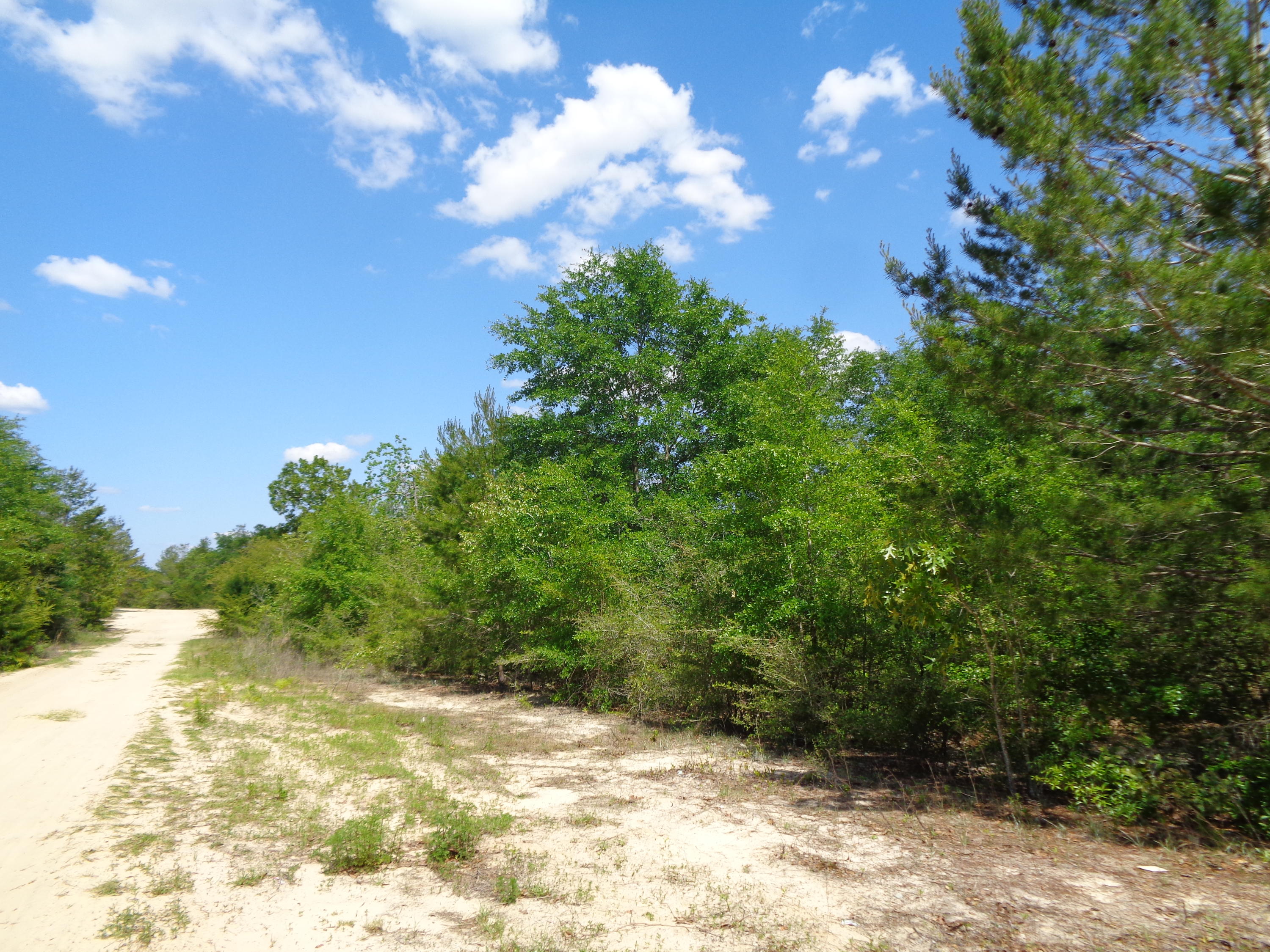 7+ acres of wooded property located just North of DeFuniak Springs. Consists of 7 recorded lots so Buyer can easily live on 1 or several of the lots and sell the rest. Some of the lots also back up to Wagner Dr. Water (fire hydrant) and electrical service are to the developed lots just before these lots.