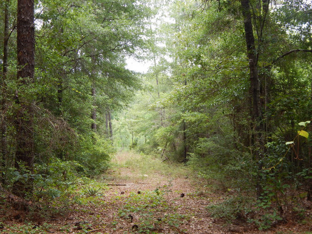 METES & BOUNDS - Land