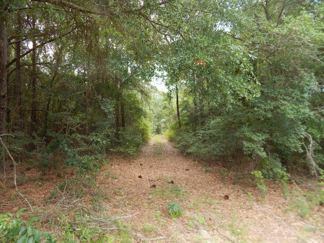 METES & BOUNDS - Land