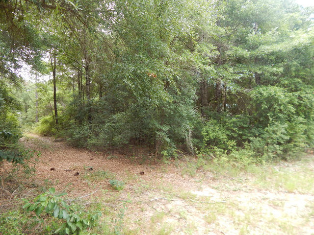 METES & BOUNDS - Land