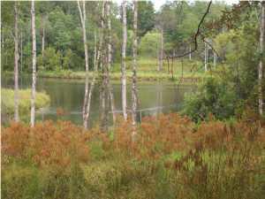 DON'T MISS OUT ON THIS GREAT WATERFRONT PROPERTY IN THE CENTER OF CRESTVIEW. IT'S A WONDERFUL LAKE FRONT PROPERTY. THIS PROPERTY IS A RARE FIND ON THE WATER UNDER 100K~ THE 2 + ACRES IS LARGER THAN MOST ANY WATER FRONT PROPERTIES YOU WILL FIND IN CRESTVIEW. THE PROPERTY FRONTS 2 SEPARATE LAKES AS WELL. COME AND CHECK OUT THIS GREAT PIECE OF PROPERTY LOCATED WITHIN AN AREA OF HIGH QUALITY HOMES. THIS WOULD MAKE FOR A GREAT BUILDING SITE OR FOR A GREAT INVESTMENT. THIS IS ALSO LOCATED IN THE COUNTY FOR LOWER PROPERTY TAXES!