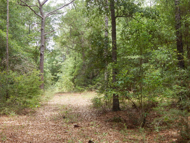 METES & BOUNDS - Land