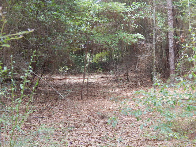 METES & BOUNDS - Land