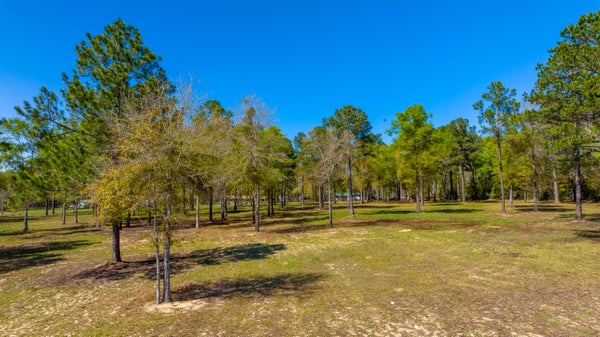 20 ACRES CANNON DRIVE, PAXTON, FL 32538 - Image fab08fdd3771d0f151eefe923dffb9ae/103030815
