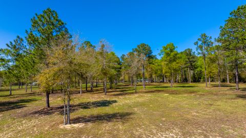 20 Acres Cannon Drive Paxton FL 32538