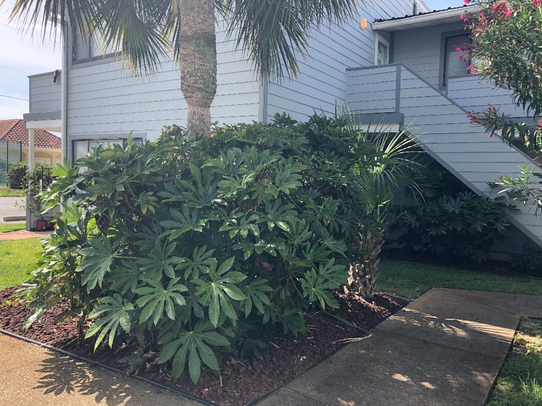 SURFSONG CONDO OF DESTIN - Residential