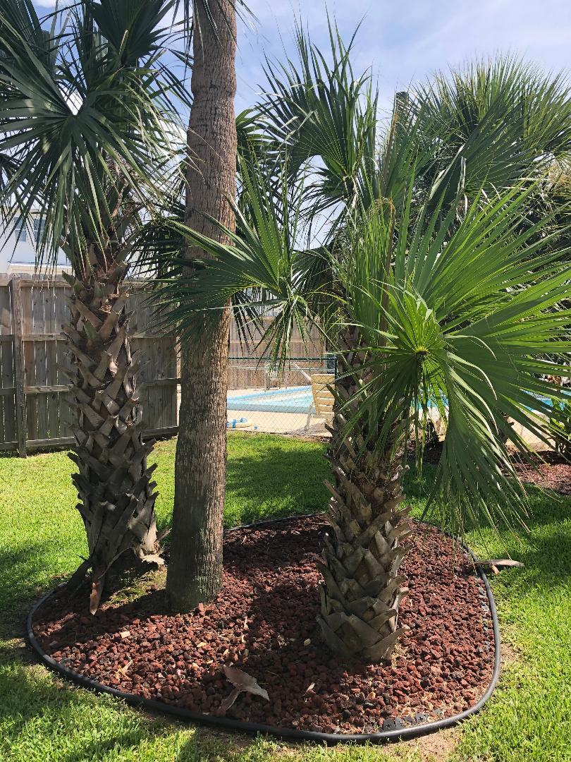 SURFSONG CONDO OF DESTIN - Residential