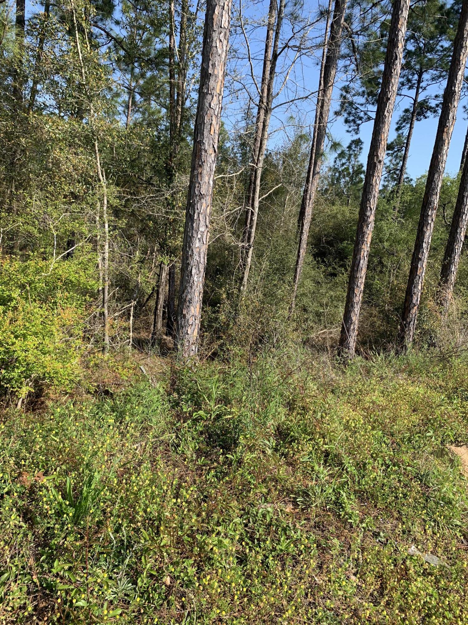 TRIPLE LAKES ESTATES - Land