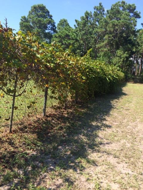 Holly Navarre - Residential