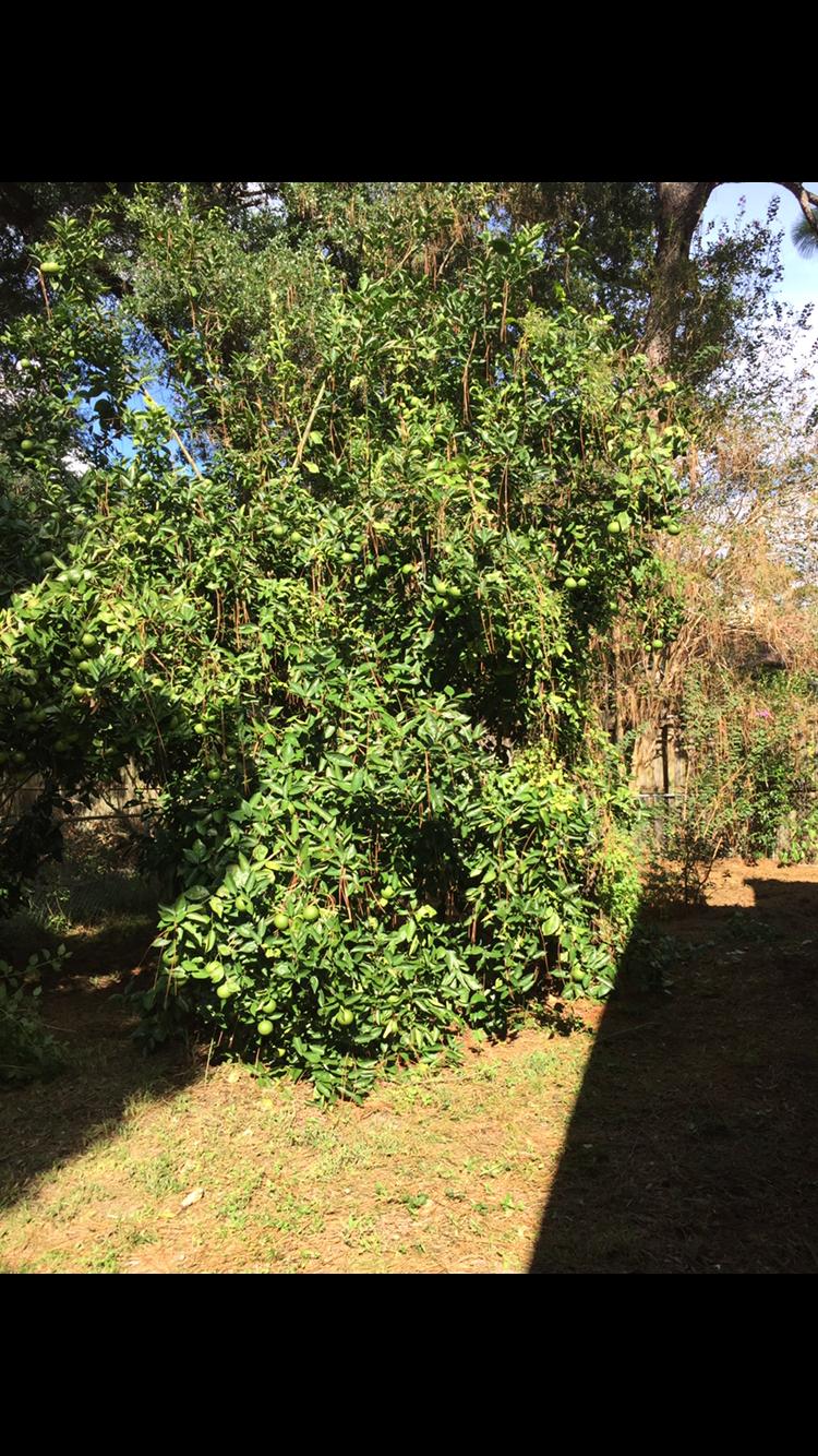 VALPARAISO PLAT 01 - Residential