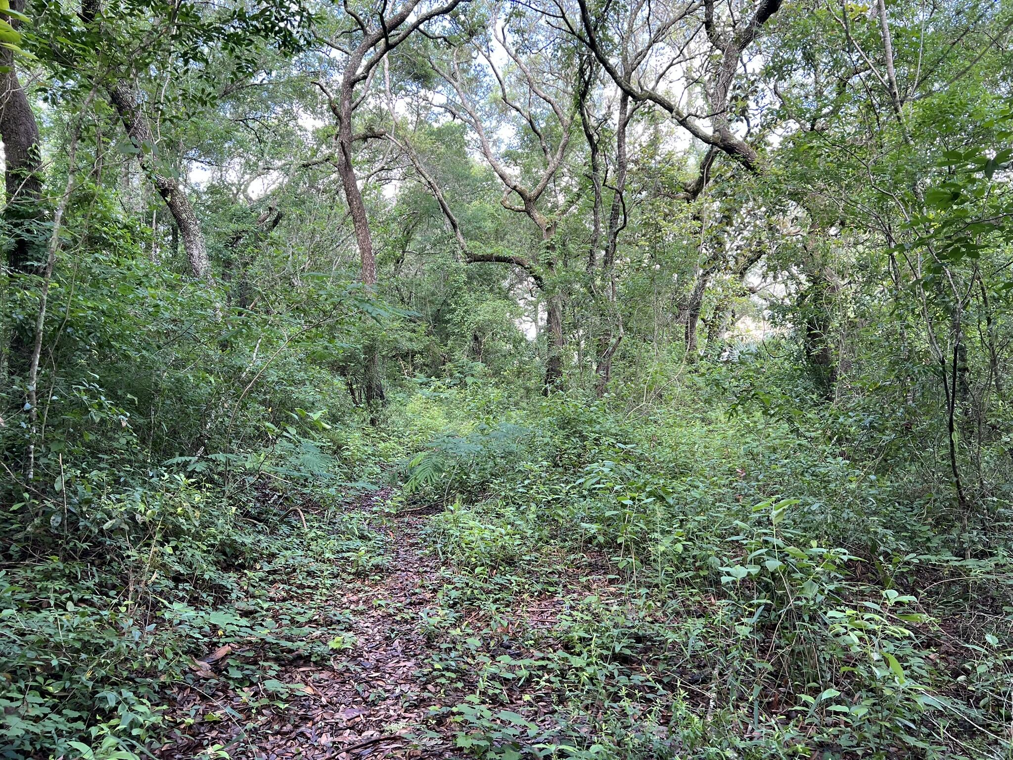 CHULA VISTA HEIGHTS - Land