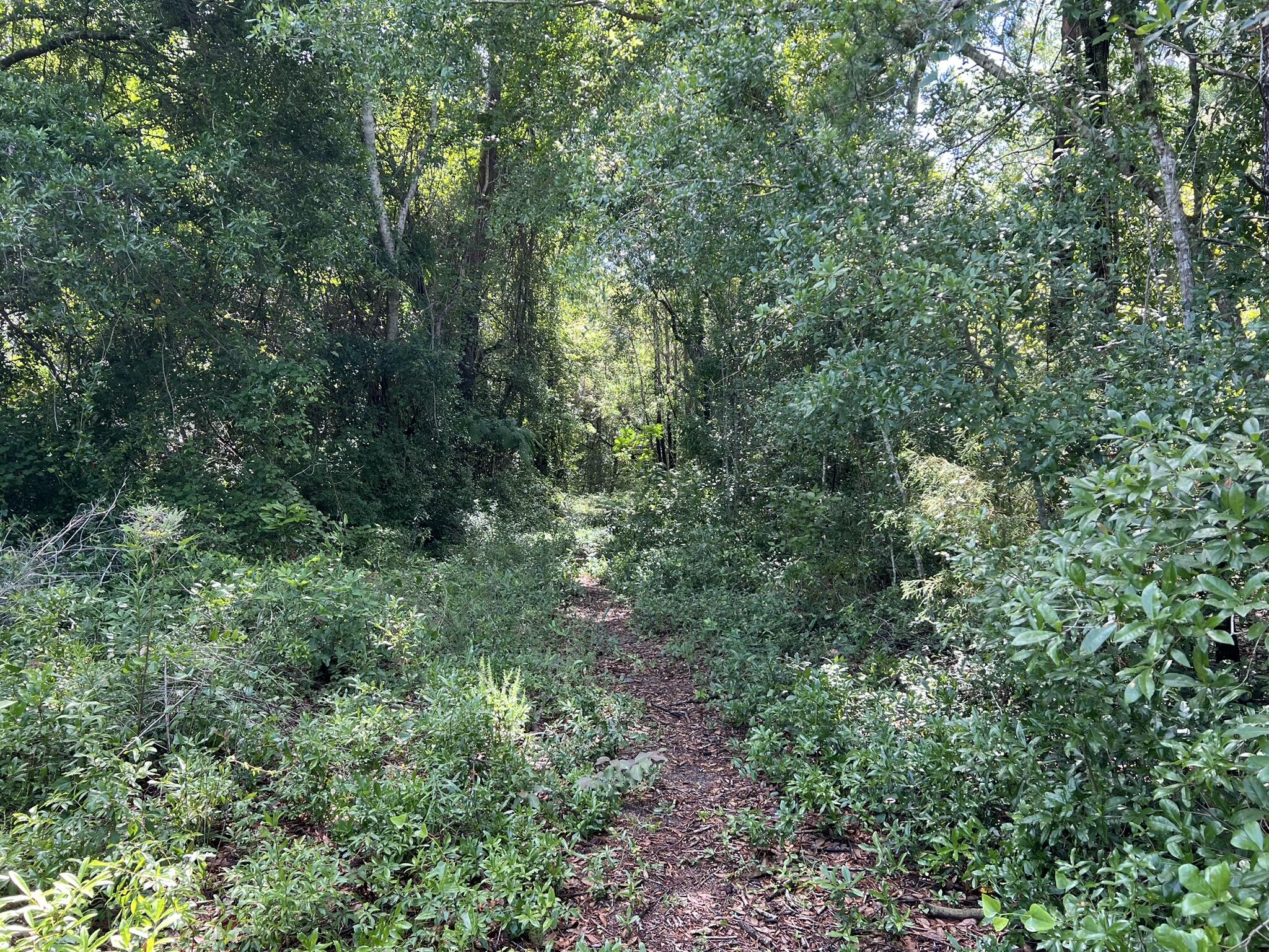 CHULA VISTA HEIGHTS - Land