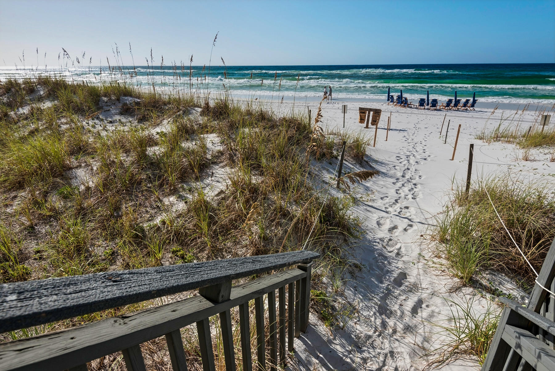 Compass Rose - Residential