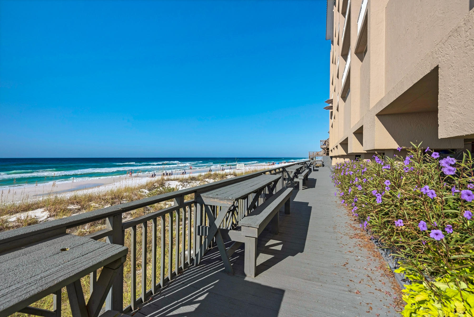 Compass Rose - Residential