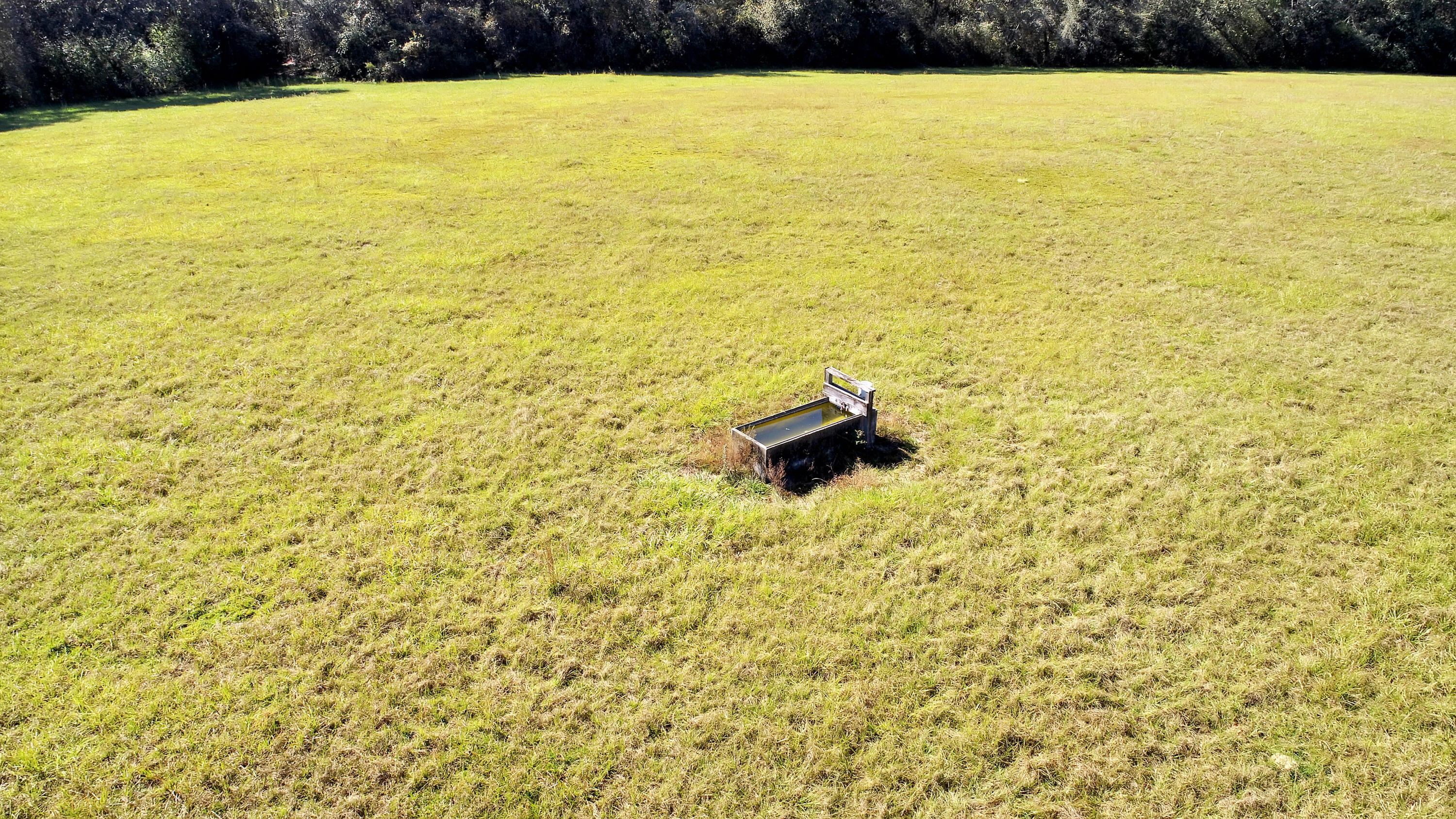 Gentleman's Cattle Ranch - Farm