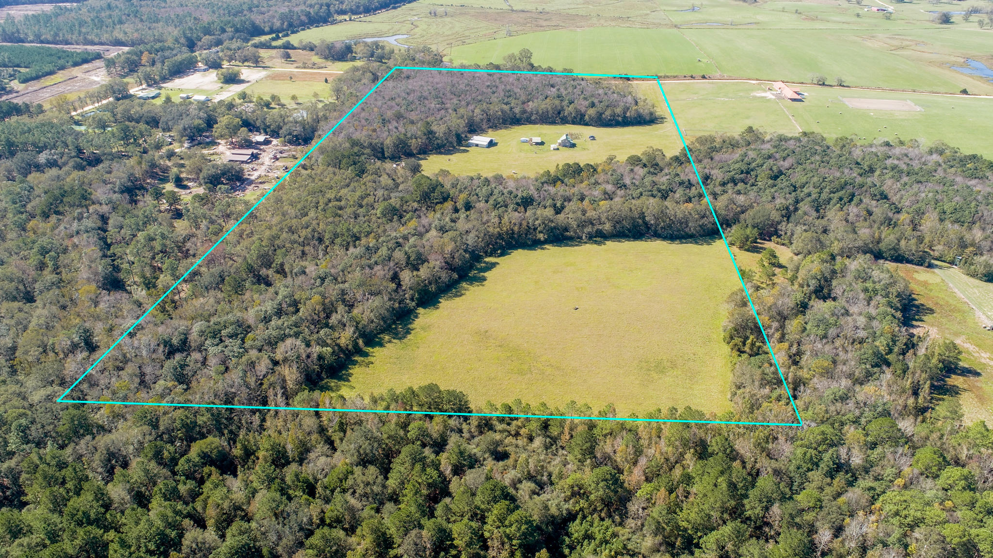 Gentleman's Cattle Ranch - Farm