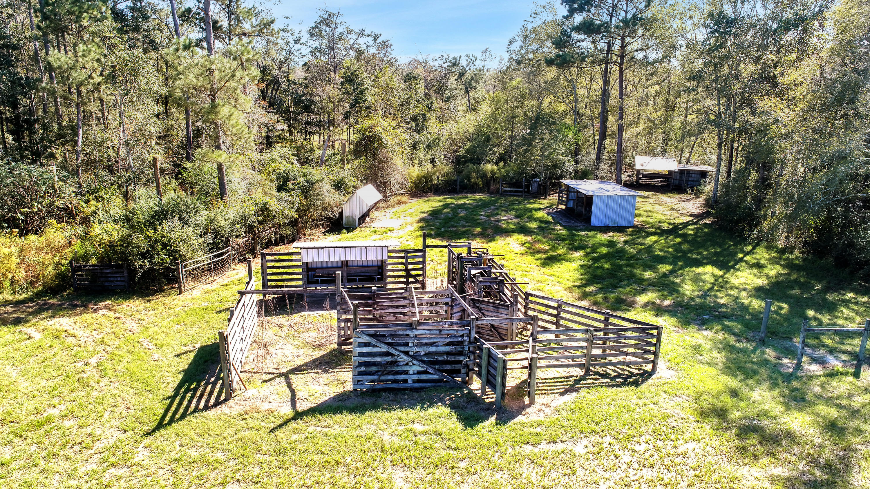 Gentleman's Cattle Ranch - Farm