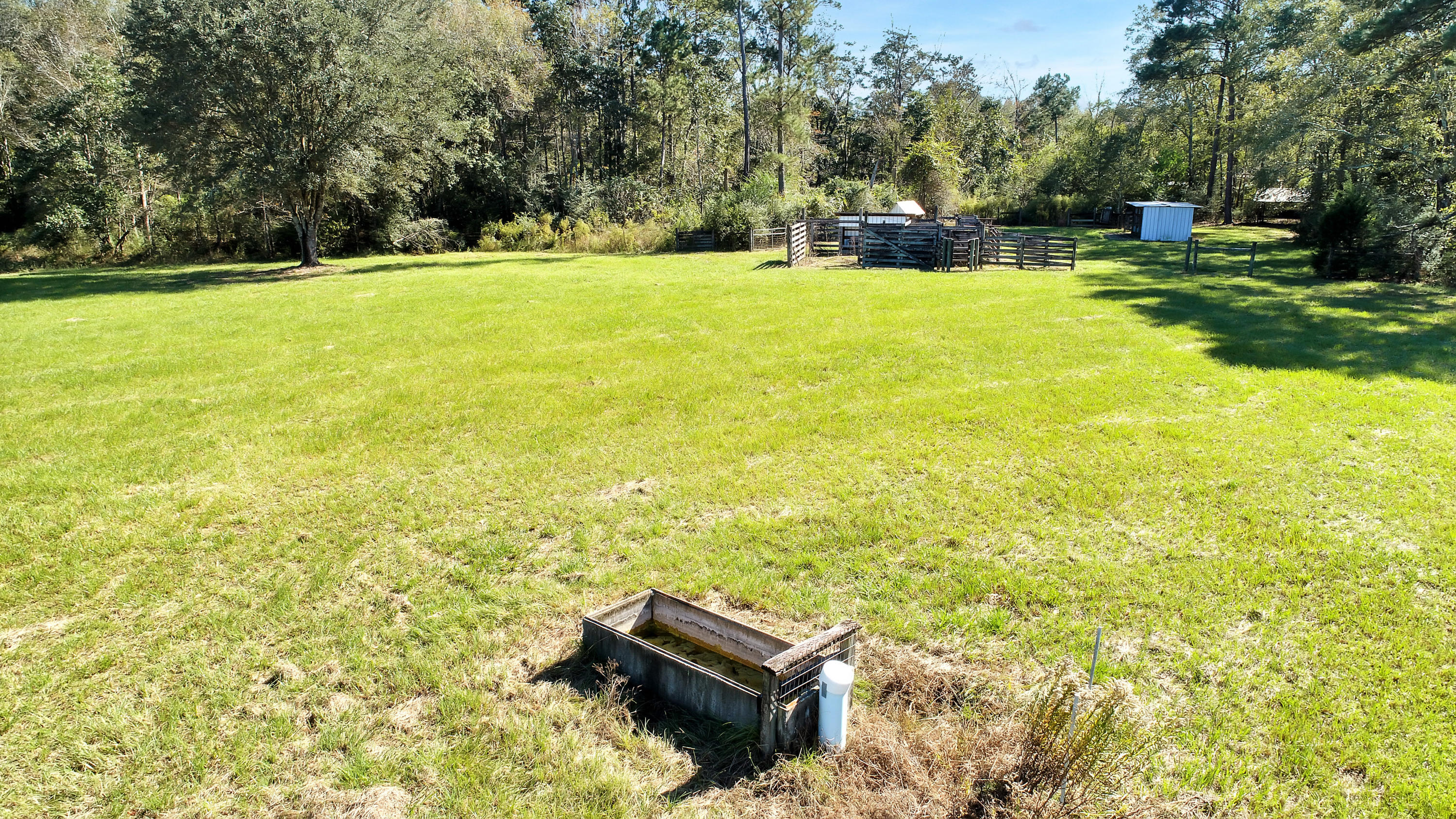 Gentleman's Cattle Ranch - Farm