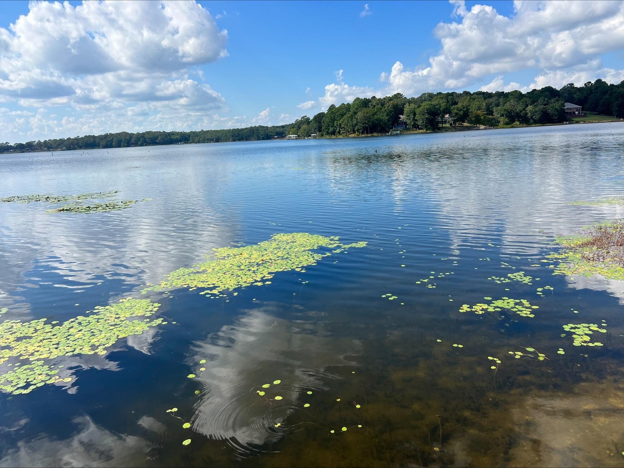 Seacoast Estates - Land