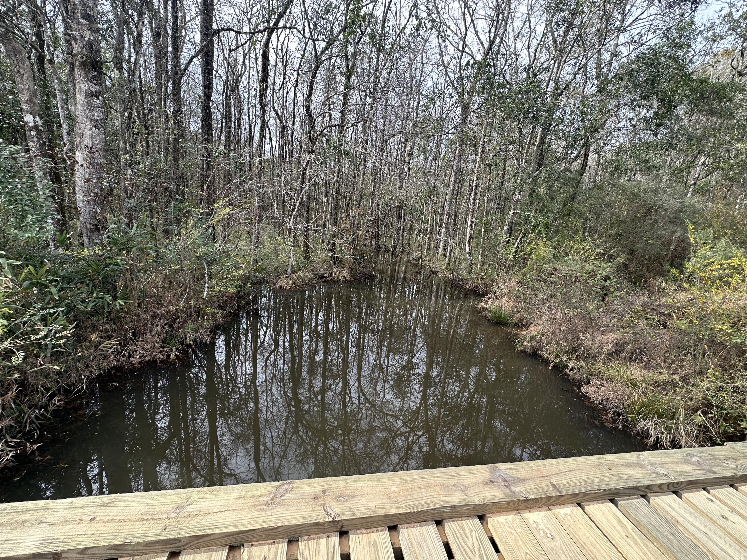 ***POSSIBLE HUNTING LEASE - DO NOT ENTER THE PROPERTY PRIOR TO SCHEDULING A SHOWING APPOINTMENT - 24 HR Notice Minimum. *** Dream Location for Hunters Paradise you won't want to miss this opportunity! This Beautiful 36.2 +/- Acres of prime land has so much to offer. Whitewater Branch flows beautifully through. Bring your hunting gear, Horses, and ATVS LOCATION LOCATION!!!! Young Planted Pines. This Property has Easy Access to Hwy 179, Hwy 177, Hwy 2 and County rd 65. Take Love Rd to the Florida/ Alabama State line or head to Panama City Beaches I-10, Hwy 79, Hwy 81, and Hwy 90.Additional land available
