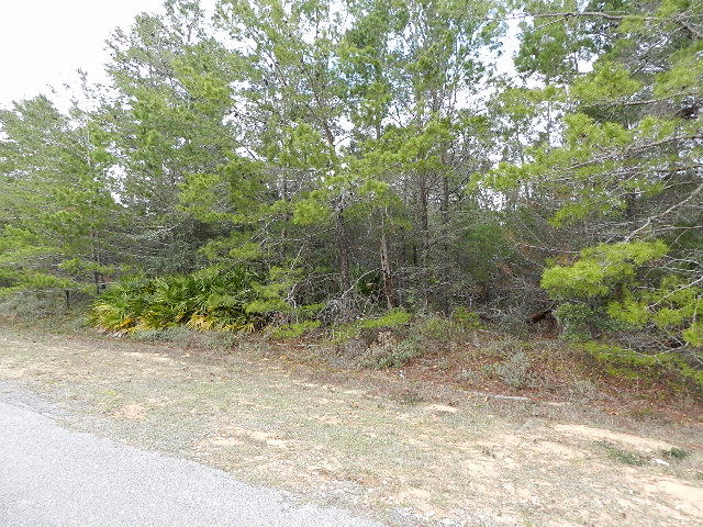 HOLLEY BY THE SEA - Land