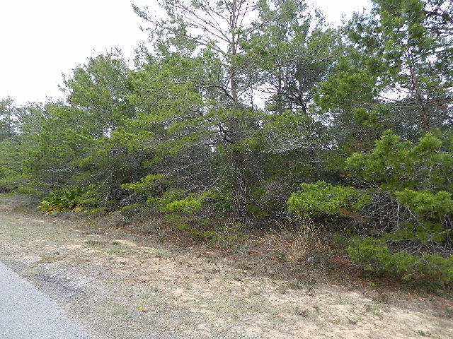 HOLLEY BY THE SEA - Land