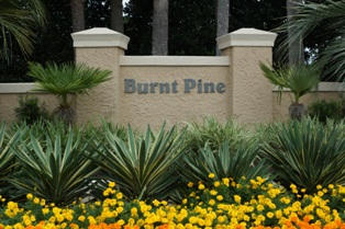 Burnt Pine - Land