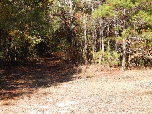 COUNTRY BREEZE EST LOT 1 - Residential